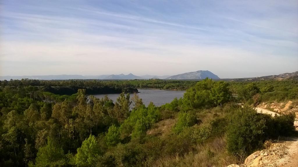 Appartamento Gli Ontani Cala Liberotto Zewnętrze zdjęcie